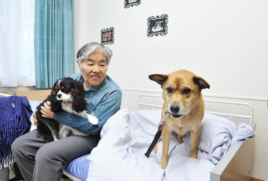 “施設でペットと暮らしたい”を実現 介護の常識を変える「伴侶動物福祉」とは？ HELPMAN JAPAN