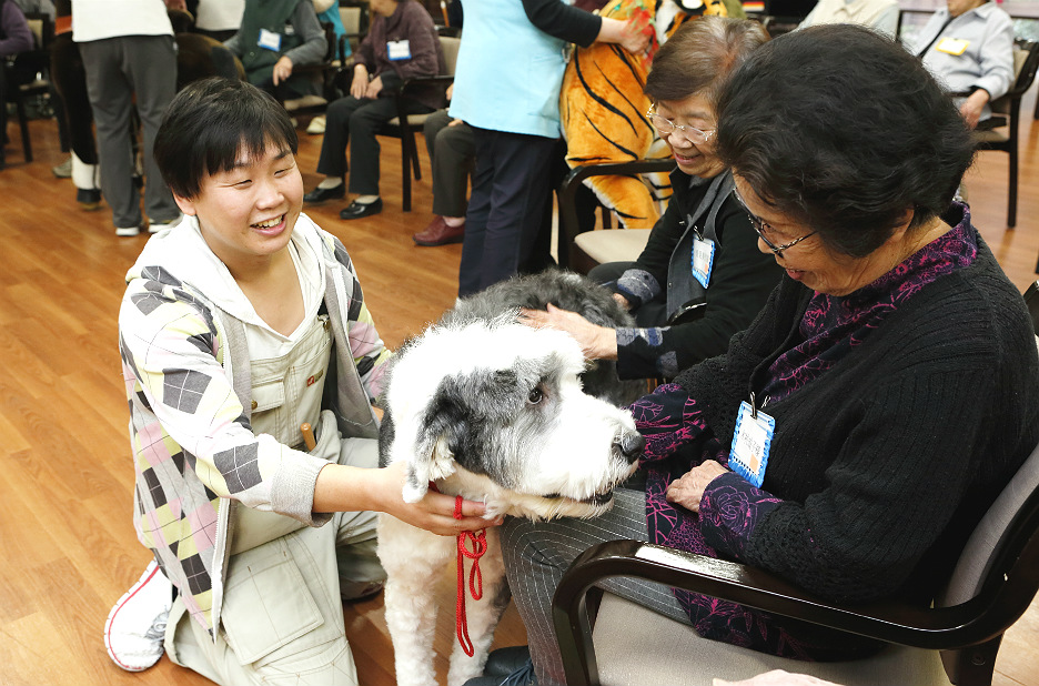 年間180の施設で 動物介在介護 を実践し 犬との触れ合いを通じた体や心のケアを提供 Helpman Japan